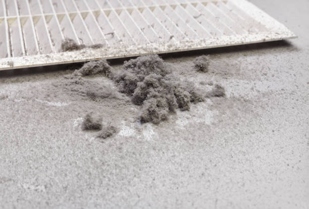 Best HVAC Duct Inspection Services  in , KY