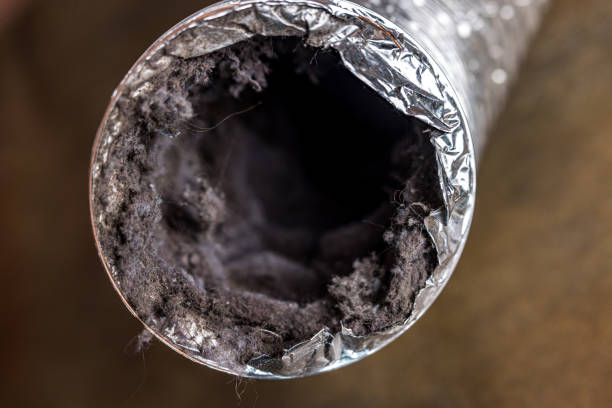 Best HVAC Maintenance and Cleaning  in , KY